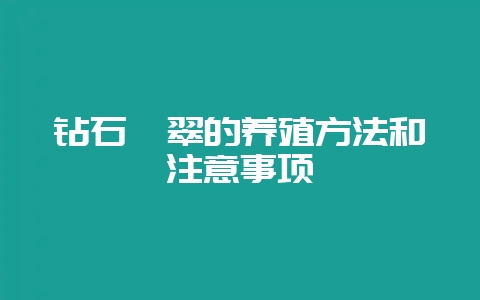 钻石翡翠的养殖方法和注意事项-会东网