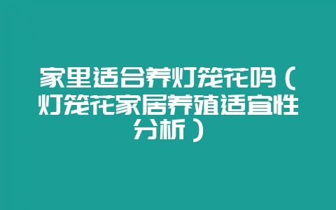 家里适合养灯笼花吗（灯笼花家居养殖适宜性分析）-会东网