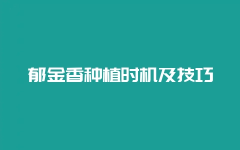 郁金香种植时机及技巧-会东网