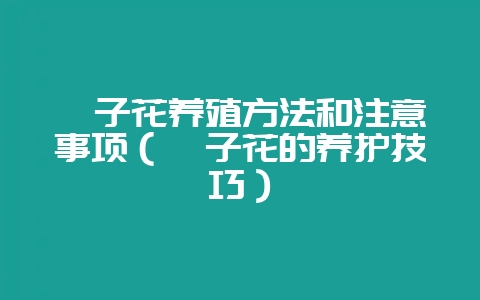 桔子花养殖方法和注意事项（桔子花的养护技巧）-会东网