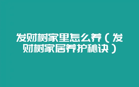 发财树家里怎么养（发财树家居养护秘诀）-会东网