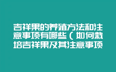吉祥果的养殖方法和注意事项有哪些(如何栽培吉祥果及其注意事项-会东网