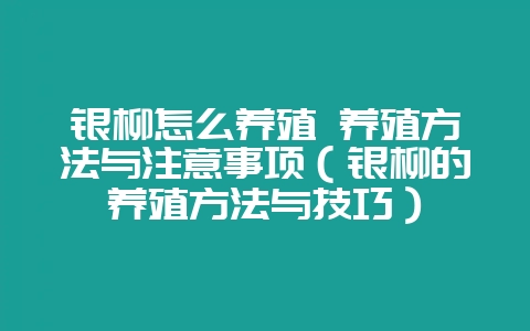 银柳怎么养殖 养殖方法与注意事项(银柳的养殖方法与技巧)-会东网