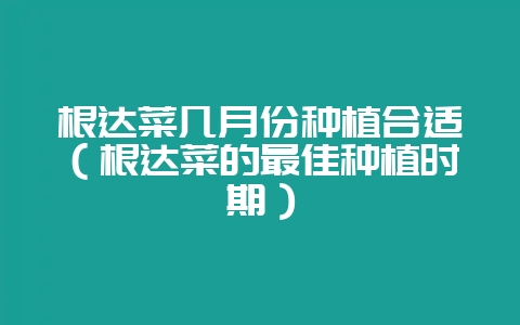 根达菜几月份种植合适(根达菜的最佳种植时期)插图 根达菜几月份种植合适(根达菜的最佳种植时期)插图