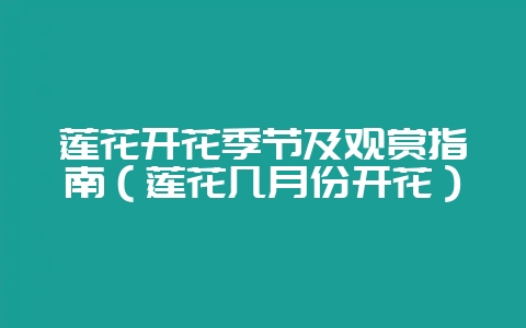 莲花开花季节及观赏指南(莲花几月份开花)-会东网