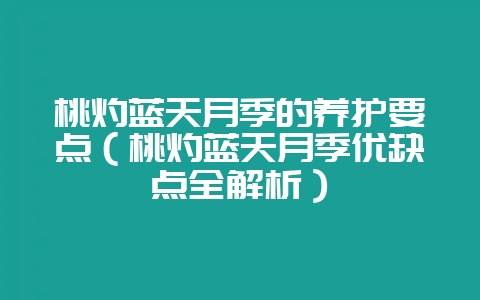 桃灼蓝天月季的养护要点（桃灼蓝天月季优缺点全解析）-会东网