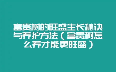 富贵树的旺盛生长秘诀与养护方法（富贵树怎么养才能更旺盛）-会东网