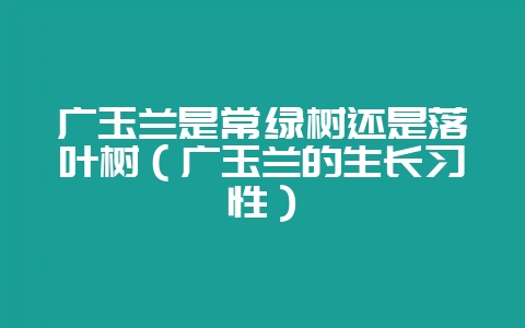 广玉兰是常绿树还是落叶树(广玉兰的生长习性)-会东网