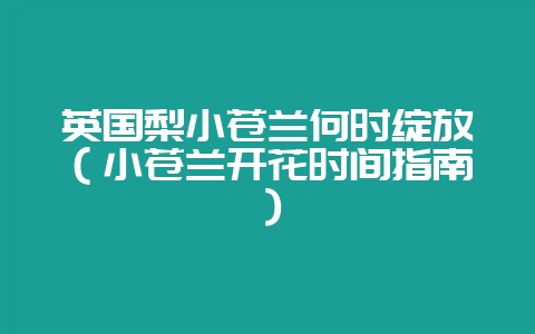 英国梨小苍兰何时绽放(小苍兰开花时间指南)-会东网