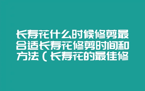 长寿花什么时候修剪最合适长寿花修剪时间和方法(长寿花的最佳修-会东网