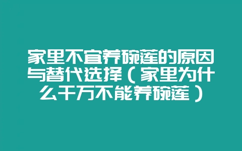 家里不宜养碗莲的原因与替代选择(家里为什么千万不能养碗莲)-会东网