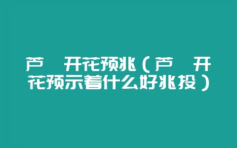 芦荟开花预兆（芦荟开花预示着什么好兆头）-会东网