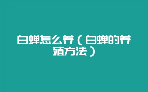 白蝉怎么养（白蝉的养殖方法）-会东网