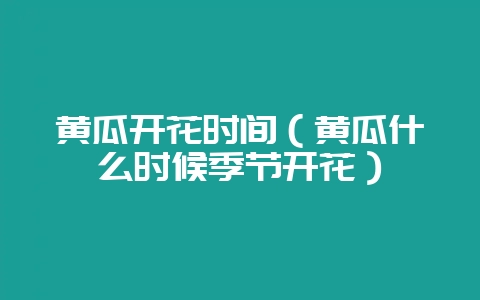 黄瓜开花时间(黄瓜什么时候季节开花)-会东网