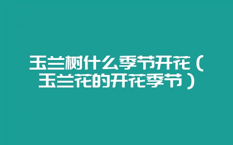 玉兰树什么季节开花（玉兰花的开花季节）-会东网