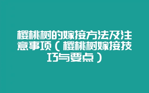 樱桃树的嫁接方法及注意事项(樱桃树嫁接技巧与要点)-会东网