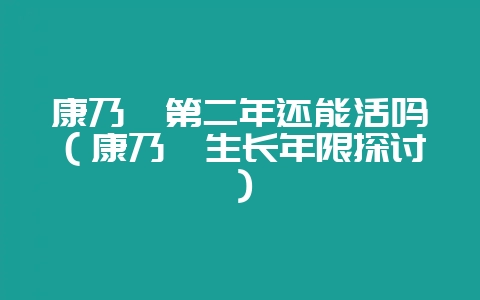 康乃馨第二年还能活吗（康乃馨生长年限探讨）-会东网