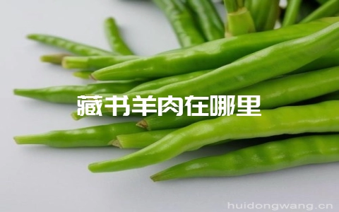 藏书羊肉在哪里-会东网