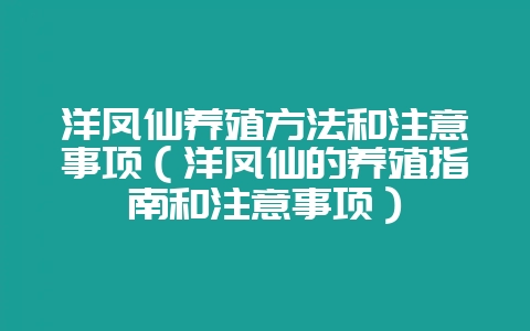 洋凤仙养殖方法和注意事项(洋凤仙的养殖指南和注意事项)-会东网