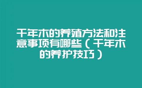 千年木的养殖方法和注意事项有哪些(千年木的养护技巧)-会东网