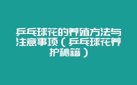 乒乓球花的养殖方法与注意事项（乒乓球花养护秘籍）-会东网