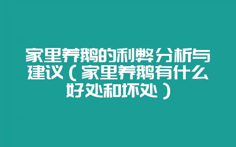 家里养鹅的利弊分析与建议（家里养鹅有什么好处和坏处）-会东网