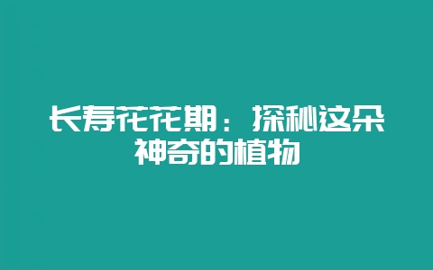 长寿花花期：探秘这朵神奇的植物-会东网