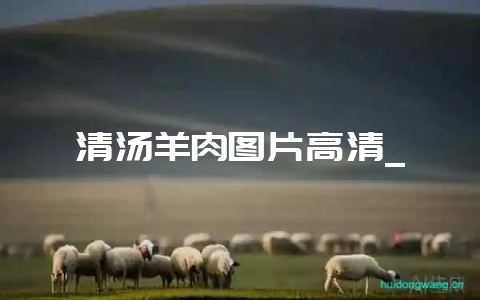 清汤羊肉图片高清_-会东网