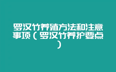 罗汉竹养殖方法和注意事项（罗汉竹养护要点）-会东网