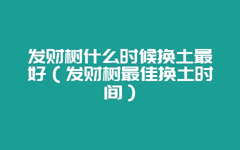 发财树什么时候换土最好（发财树最佳换土时间）-会东网
