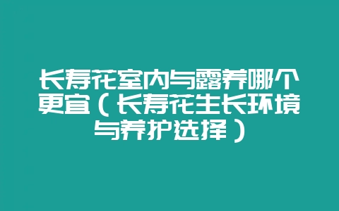长寿花室内与露养哪个更宜（长寿花生长环境与养护选择）-会东网