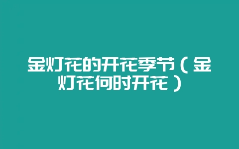 金灯花的开花季节(金灯花何时开花)-会东网