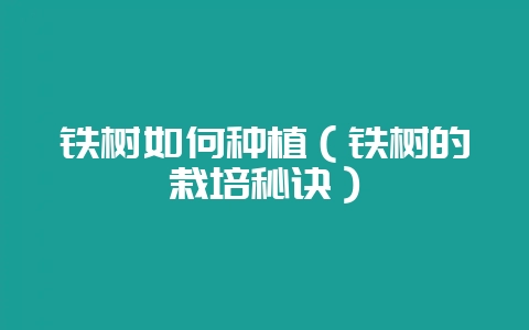 铁树如何种植（铁树的栽培秘诀）-会东网