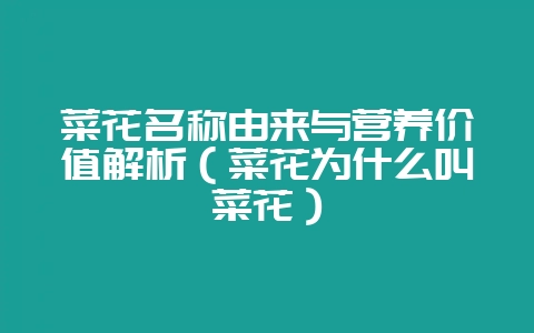 菜花名称由来与营养价值解析（菜花为什么叫菜花）-会东网