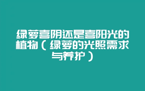 绿萝喜阴还是喜阳光的植物（绿萝的光照需求与养护）-会东网