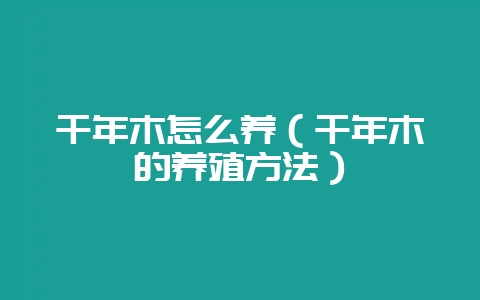 千年木怎么养（千年木的养殖方法）-会东网