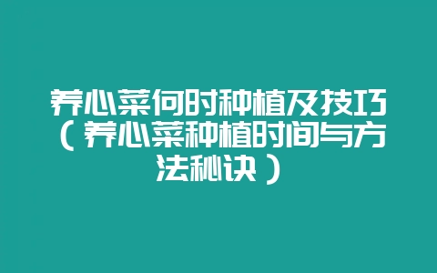 养心菜何时种植及技巧（养心菜种植时间与方法秘诀）-会东网