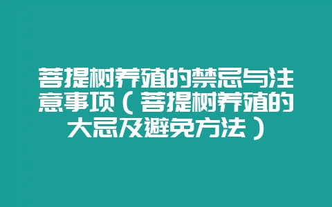 菩提树养殖的禁忌与注意事项（菩提树养殖的大忌及避免方法）-会东网