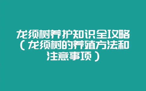 龙须树养护知识全攻略（龙须树的养殖方法和注意事项）-会东网