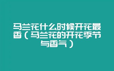 马兰花什么时候开花最香（马兰花的开花季节与香气）-会东网