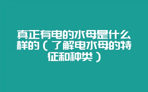 真正有电的水母是什么样的（了解电水母的特征和种类）-会东网