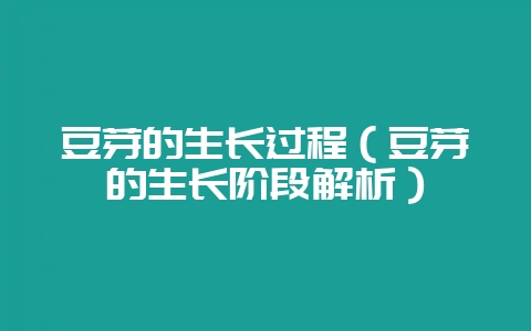 豆芽的生长过程(豆芽的生长阶段解析)-会东网