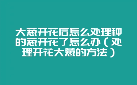 大葱开花后怎么处理种的葱开花了怎么办（处理开花大葱的方法）-会东网