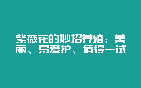 紫薇花的妙招养殖：美丽、易爱护、值得一试-会东网