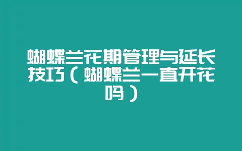 蝴蝶兰花期管理与延长技巧(蝴蝶兰一直开花吗)-会东网