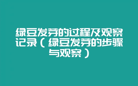 绿豆发芽的过程及观察记录(绿豆发芽的步骤与观察)-会东网