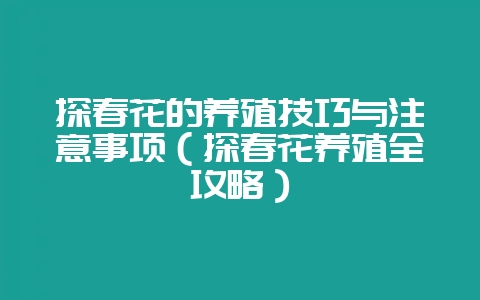 探春花的养殖技巧与注意事项(探春花养殖全攻略)-会东网