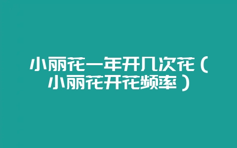 小丽花一年开几次花（小丽花开花频率）-会东网