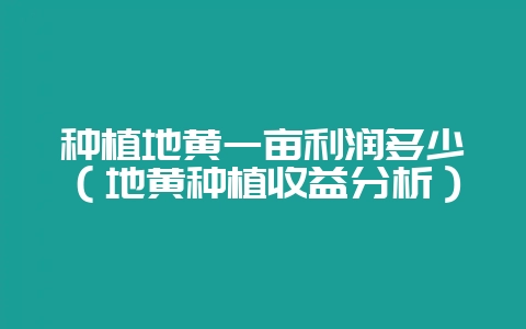 种植地黄一亩利润多少（地黄种植收益分析）-会东网