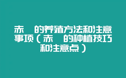 赤楠的养殖方法和注意事项(赤楠的种植技巧和注意点)-会东网